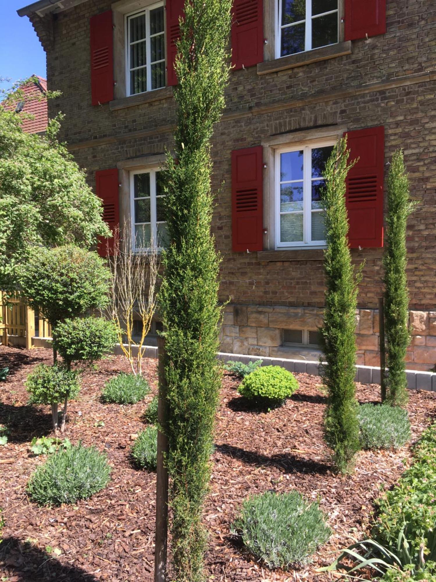 Wohlfuehlen Im Rheinhessischen Backsteinhaus Apartment Armsheim Phòng bức ảnh
